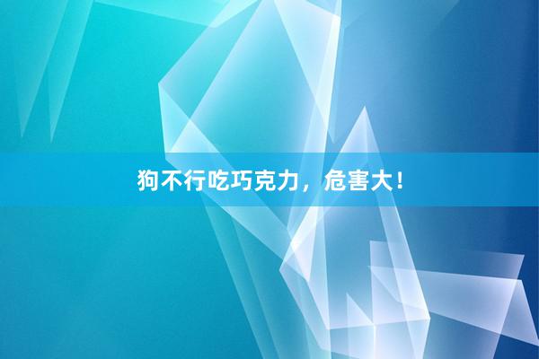 狗不行吃巧克力，危害大！